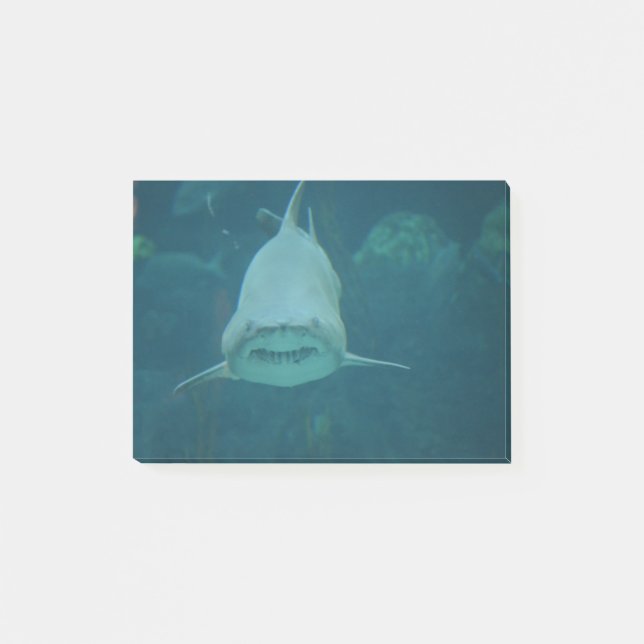 Grinning Shark Post-it Notes (Front)