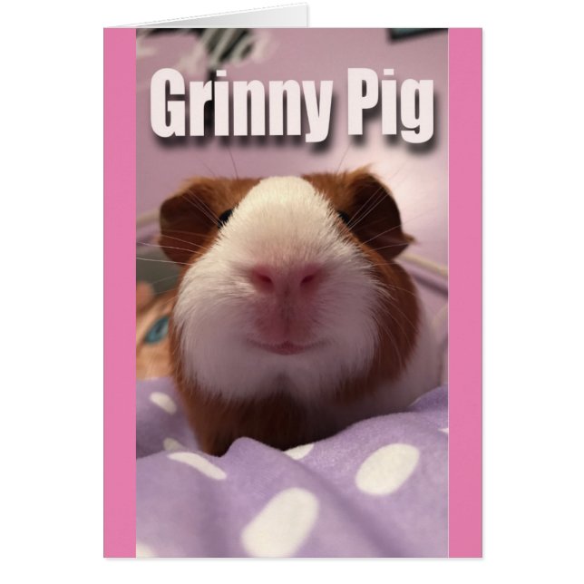 Grinny pig (Front)