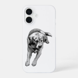 Grip & Calm – Frontal Study iPhone 16 Case
