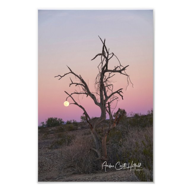 Gripping the Moon Photo Print (Front)