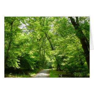 Grist Mill Trail I