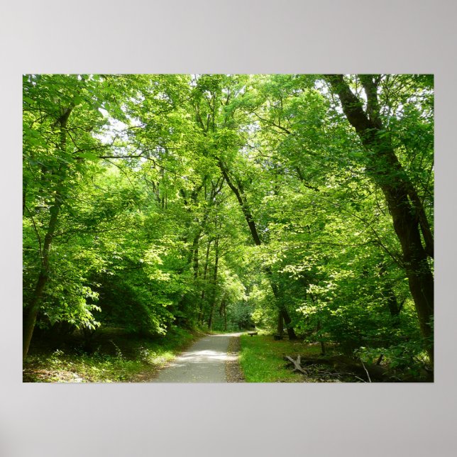 Grist Mill Trail I Poster (Front)