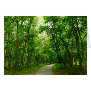 Grist Mill Trail II
