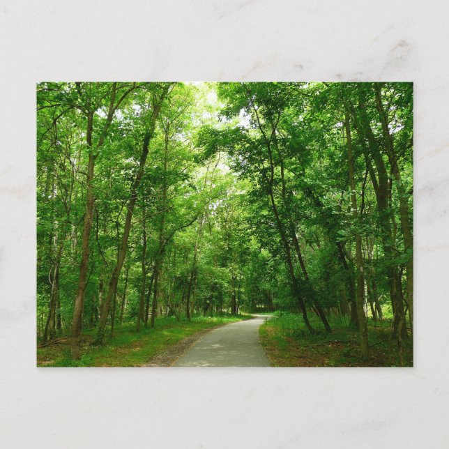 Grist Mill Trail II Postcard (Front)