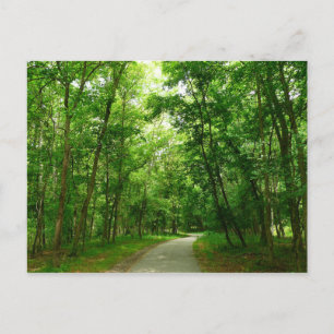 Grist Mill Trail II Postcard