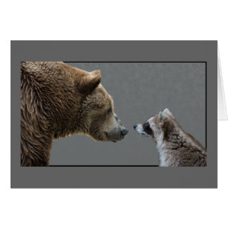 Grizzle Bear Meets Racoon