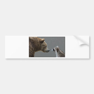 Grizzle Bear Meets Racoon Bumper Sticker
