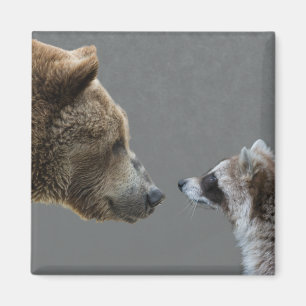 Grizzle Bear Meets Racoon Magnet