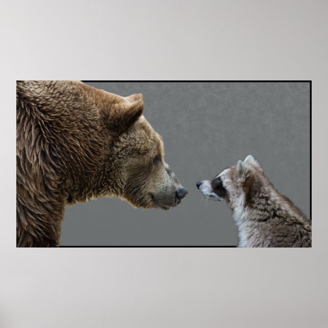 Grizzle Meets Racoon Poster (Front)