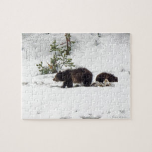 Grizzlies in the Snow Jigsaw Puzzle