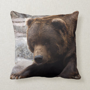 grizzly-bear-016 cushion