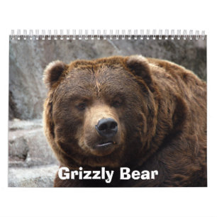 grizzly-bear-017, Grizzly Bear Calendar