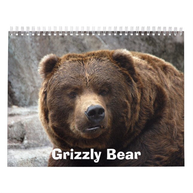 grizzly-bear-017, Grizzly Bear Calendar (Cover)