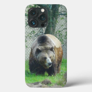 Grizzly Bear #1 iPhone 13 Pro Case