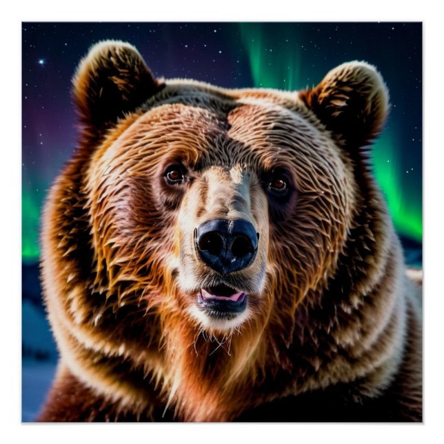 Grizzly Bear and the Northern Lights Poster (Front)