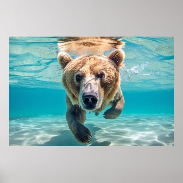 Grizzly Bear Animal Fun Nature Playing  Poster (Front)