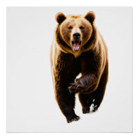 Grizzly bear attack a men in the back 8k on his ba