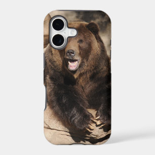 Grizzly Bear Boar