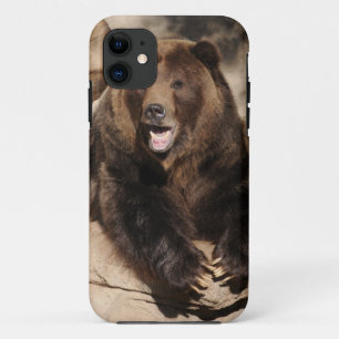 Grizzly Bear Boar iPhone 11 Case