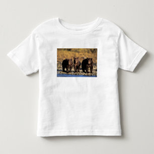 Grizzly bear, brown bear, cubs, Katmai National Toddler T-Shirt