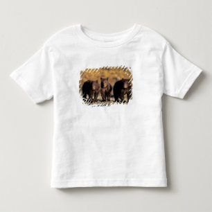 Grizzly bear, brown bear, cubs, Katmai National Toddler T-Shirt