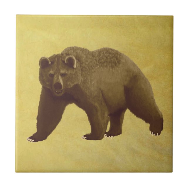 Grizzly Bear Ceramic Tile (Front)