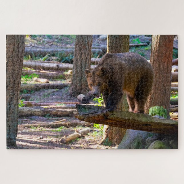 Grizzly Bear Challenging Wildlife Lover Jigsaw Puzzle (Horizontal)