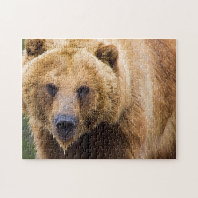 Grizzly Bear Close Enough Jigsaw Puzzle (Horizontal)
