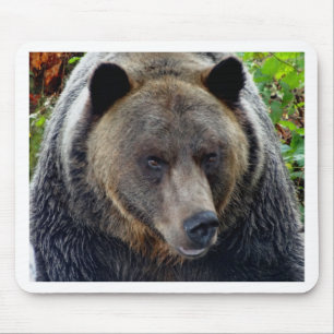 Grizzly Bear Close-up Mouse Pad