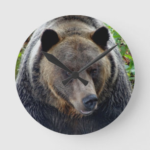 Grizzly Bear Close-up Round Clock