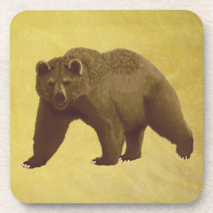 Grizzly Bear Coaster