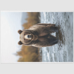 Grizzly Bear Crossing a River Decoupage Tissue Paper