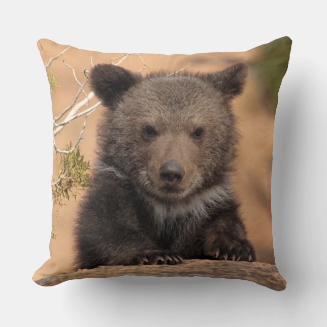 Grizzly Bear Cub Cushion (Front)