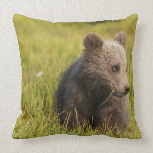 Grizzly Bear Cub Cushion