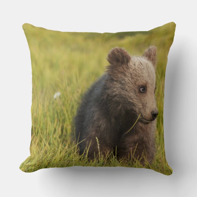 Grizzly Bear Cub Cushion (Front)