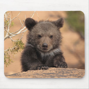 Grizzly Bear Cub Mouse Pad