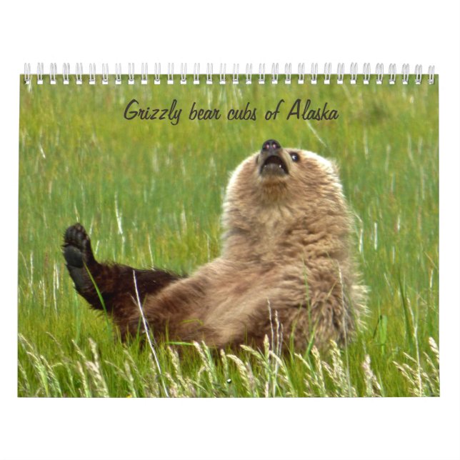 Grizzly bear cubs of Alaska calendar (Cover)