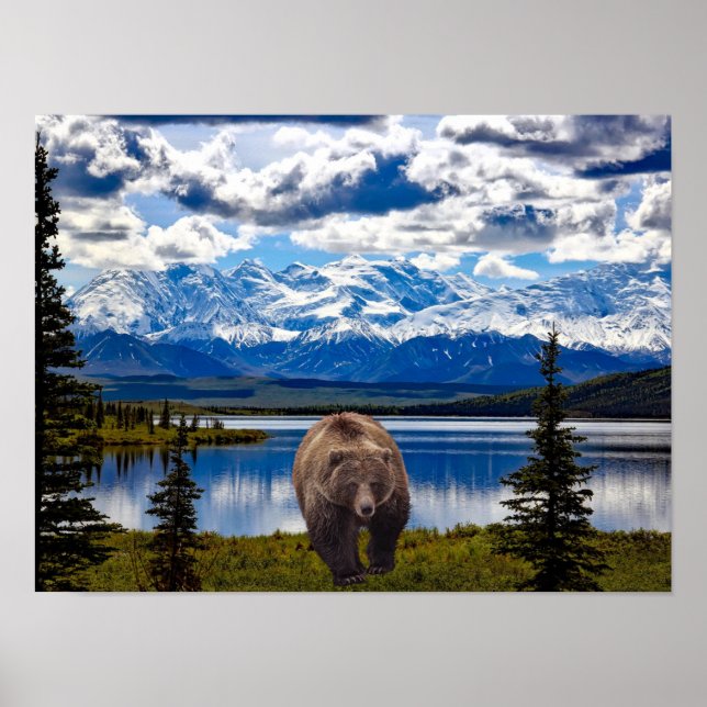 GRIZZLY BEAR DENALI PARK ALASKA POSTER (Front)