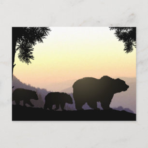 Grizzly Bear family Postcard