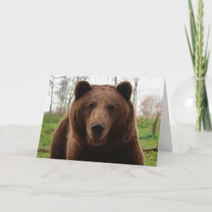 GRIZZLY BEAR HAPPY BIRTHDAY BEAR HUG CARDS