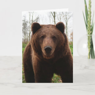 GRIZZLY BEAR HUG PHOTOGRAPHY BIRTHDAY CARD