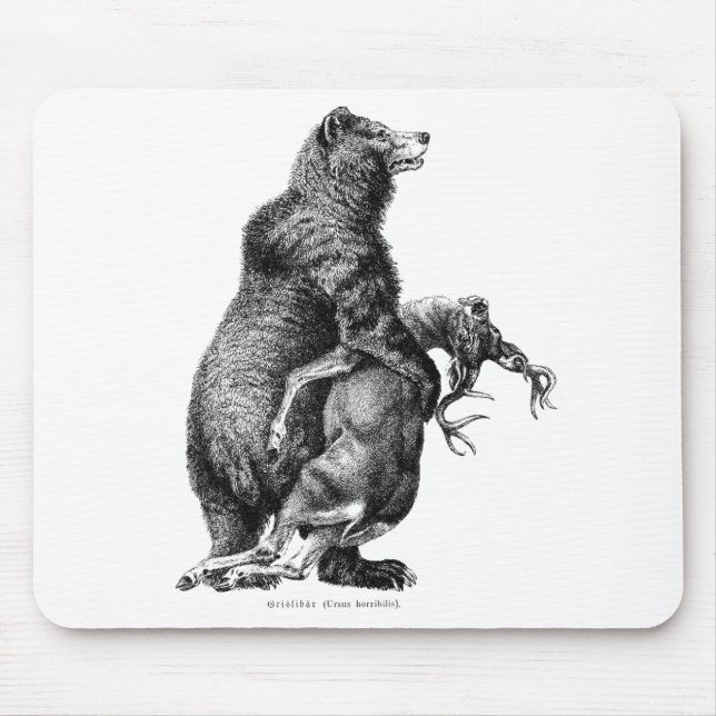 Grizzly bear Hunting Deer Simple Drawing Mouse Pad (Front)