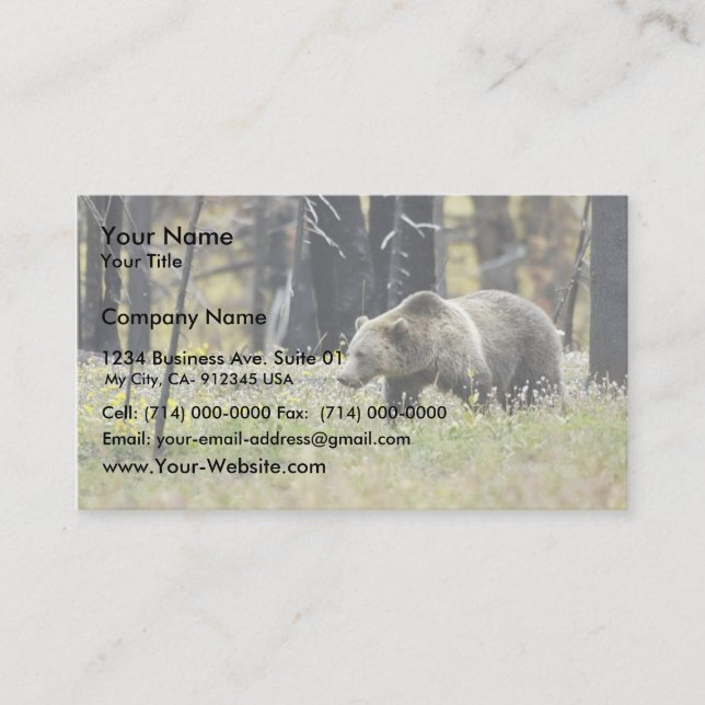 Grizzly Bear in Field at Yellowstone National Park Business Card (Front)