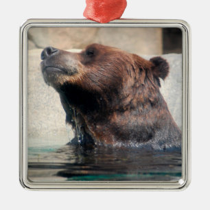 Grizzly Bear in the Water Metal Ornament