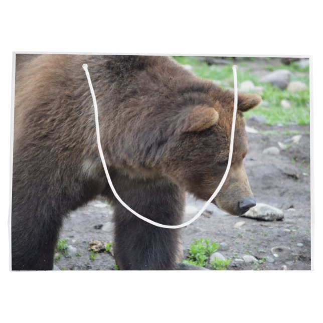 Grizzly Bear Large Gift Bag (Back)