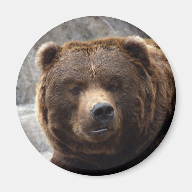 Grizzly Bear Magnet (Front)