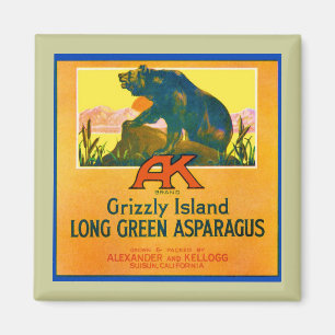 Grizzly Bear Magnet