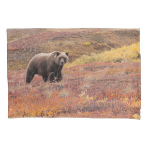 Grizzly Bear Moves Through Autumn Colours In Pillowcase