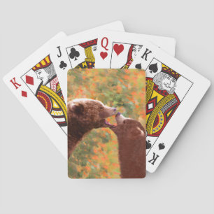 Grizzly Bear Mum and Cub Painting - Wildlife Art Playing Cards