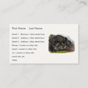 Grizzly Bear (North American Brown Bear) - Audubon Business Card
